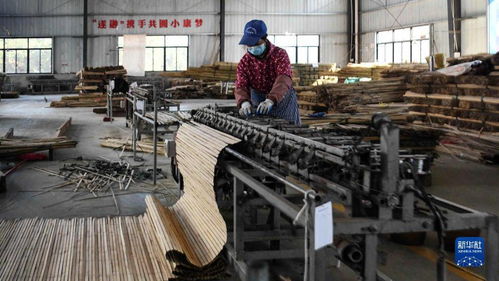 粵桂攜手共繪振興畫(huà)卷 園林工藝遠(yuǎn)銷海外，便民服務(wù)配鑰匙